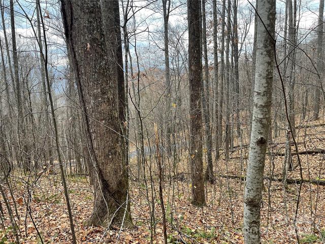 805 Sparkling Falls Road, Whittier, NC 28789