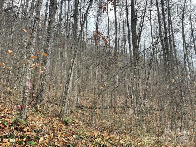 805 Sparkling Falls Road, Whittier, NC 28789