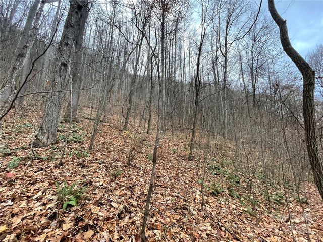 805 Sparkling Falls Road, Whittier, NC 28789