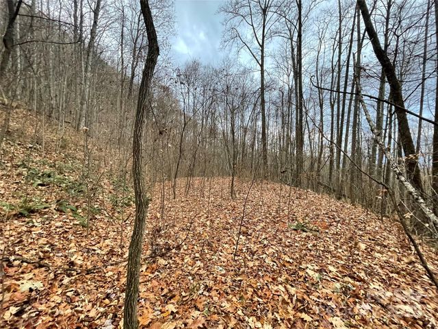 805 Sparkling Falls Road, Whittier, NC 28789
