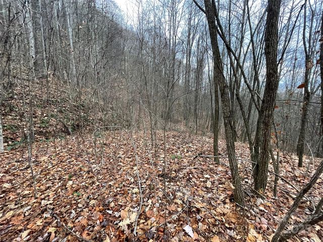 805 Sparkling Falls Road, Whittier, NC 28789