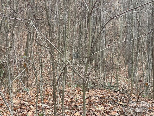 805 Sparkling Falls Road, Whittier, NC 28789