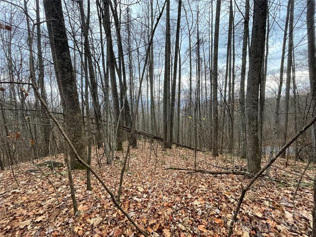 805 Sparkling Falls Road, Whittier, NC 28789