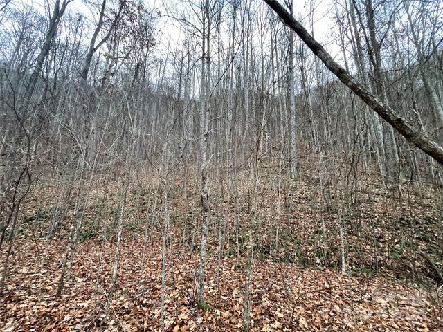 805 Sparkling Falls Road, Whittier, NC 28789