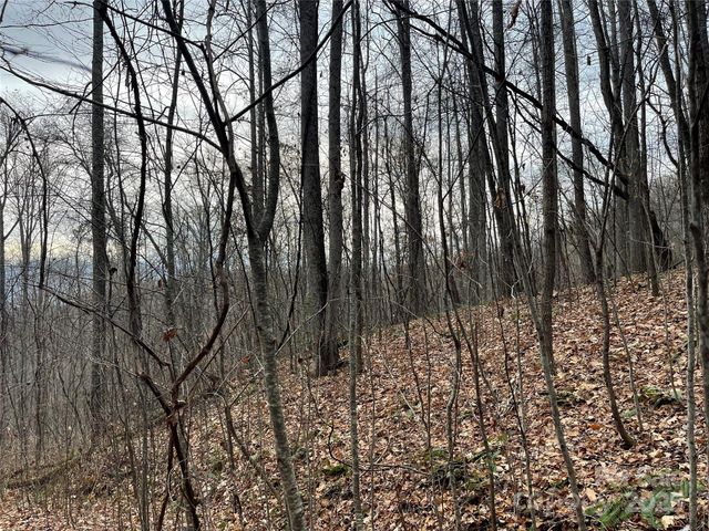 805 Sparkling Falls Road, Whittier, NC 28789