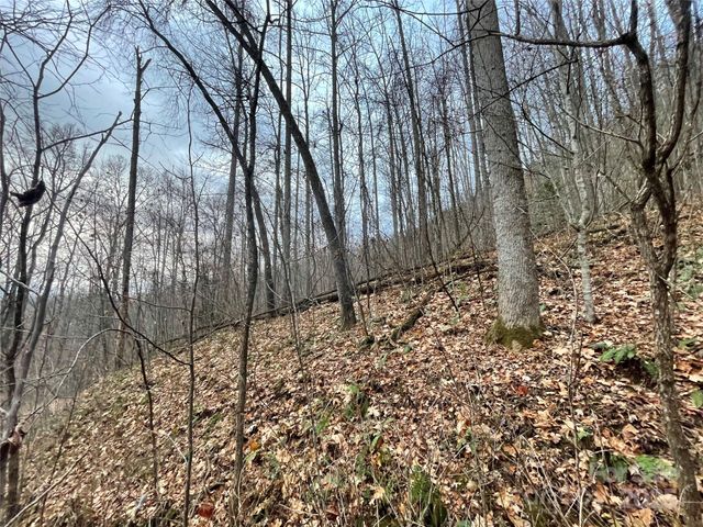 805 Sparkling Falls Road, Whittier, NC 28789