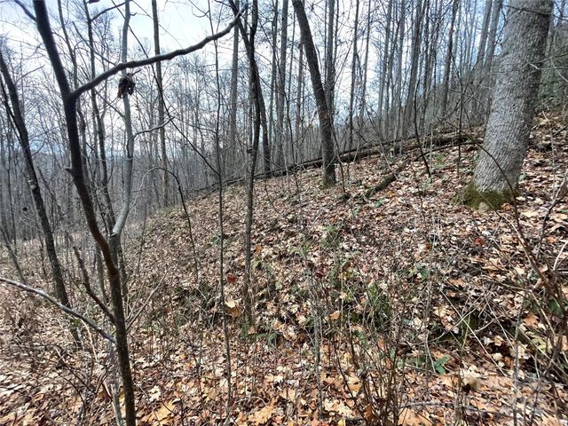 805 Sparkling Falls Road, Whittier, NC 28789