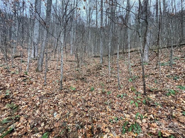 805 Sparkling Falls Road, Whittier, NC 28789