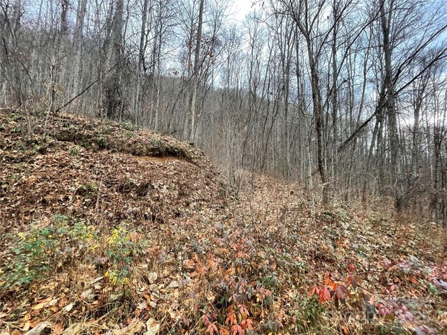 805 Sparkling Falls Road, Whittier, NC 28789