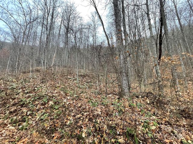 805 Sparkling Falls Road, Whittier, NC 28789