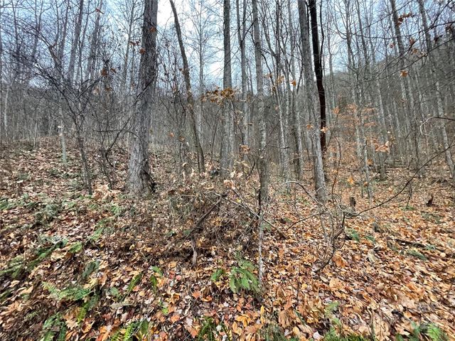 805 Sparkling Falls Road, Whittier, NC 28789