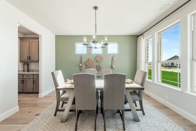 206 Oakcrest Drive, Justin, TX 76247