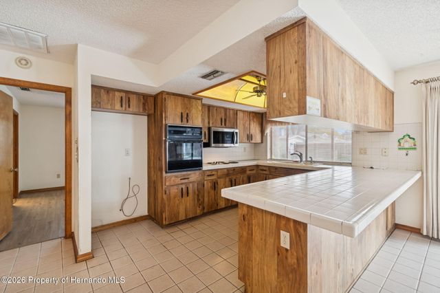 9207 Horizon Drive, Spring Hill, FL 34608