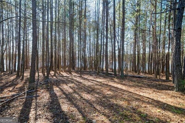 697 Moccasin Gap Road, Jackson, GA 30233