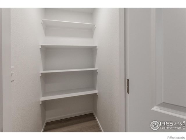 6120 Dutch Drive, Timnath, CO 80547