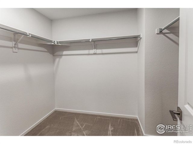 6120 Dutch Drive, Timnath, CO 80547