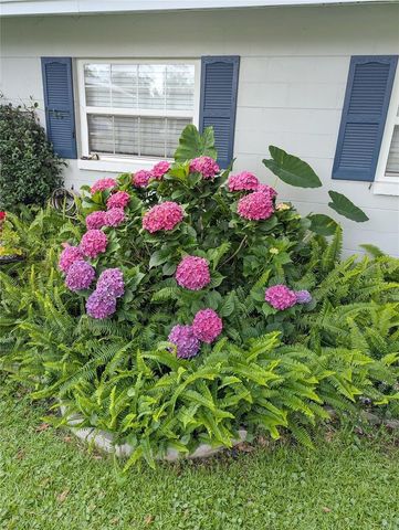 228 SE OAK HILL STREET, Lake City, FL 32025