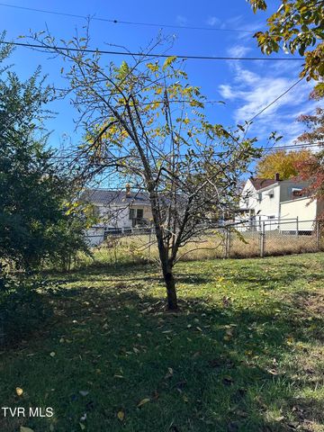 526 Mount Ida Place, Kingsport, TN 37660