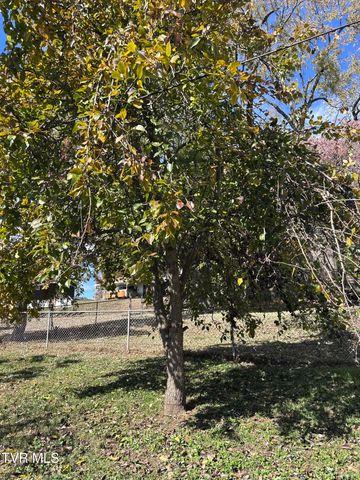 526 Mount Ida Place, Kingsport, TN 37660