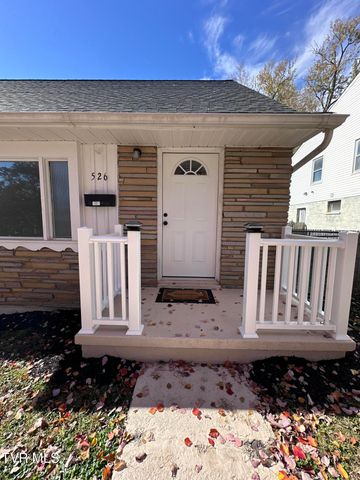 526 Mount Ida Place, Kingsport, TN 37660