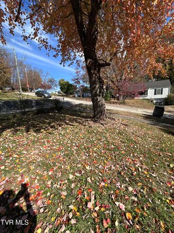 526 Mount Ida Place, Kingsport, TN 37660