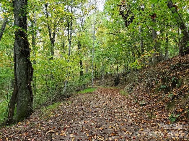 00 Hickory Wood Trail 20,21, Hendersonville, NC 28739