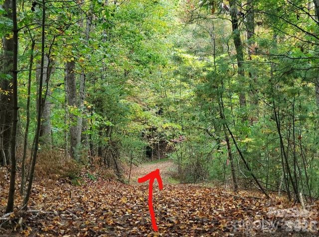 00 Hickory Wood Trail 20,21, Hendersonville, NC 28739