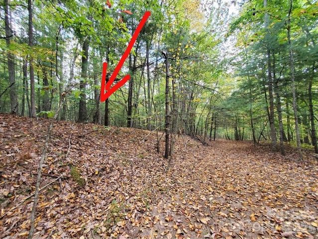 00 Hickory Wood Trail 20,21, Hendersonville, NC 28739