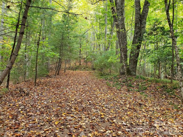 00 Hickory Wood Trail 20,21, Hendersonville, NC 28739