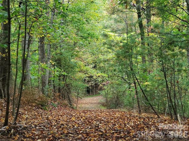 00 Hickory Wood Trail 20,21, Hendersonville, NC 28739