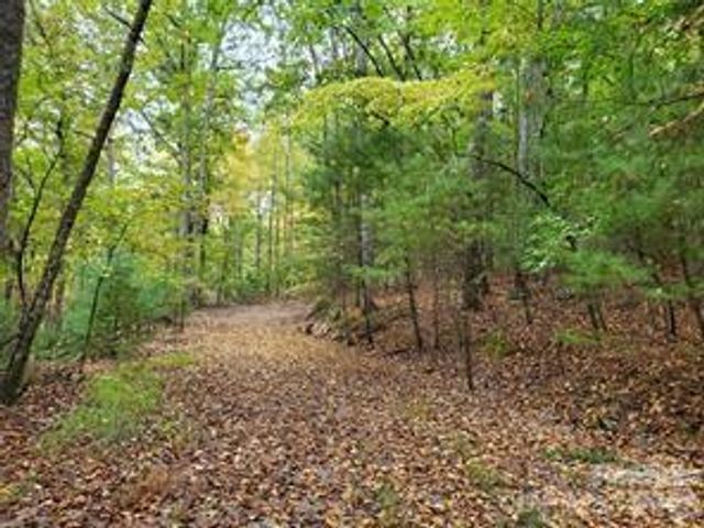 00 Hickory Wood Trail 20,21, Hendersonville, NC 28739