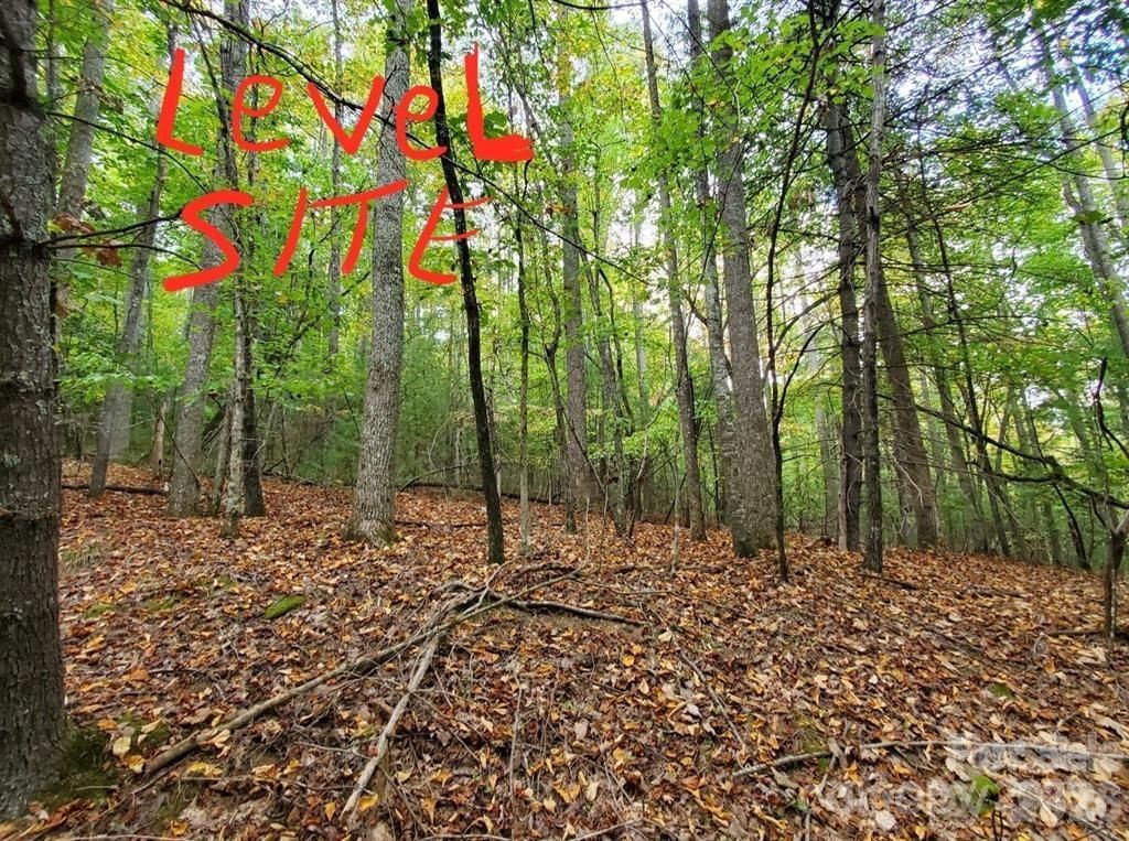 00 Hickory Wood Trail 20,21, Hendersonville, NC 28739