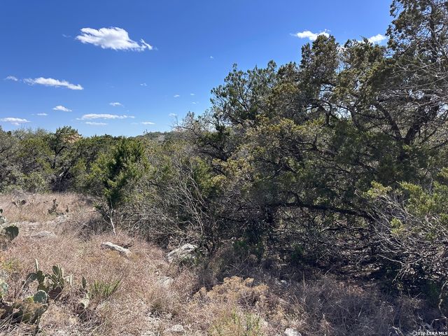 15669 vista grande, Helotes, TX 78023