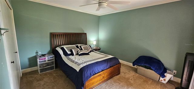 36750 US HIGHWAY 19 N 4-102, Palm Harbor, FL 34683