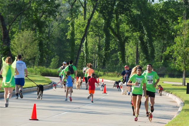 9123 Petroglyph Point Court, Porter, TX 77365