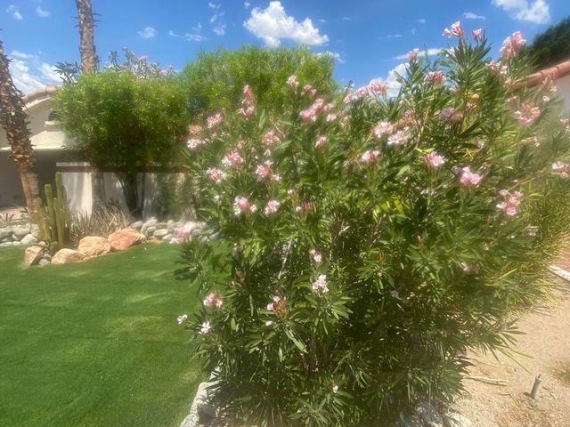 52790 Avenida Herrera, La Quinta, CA 92253