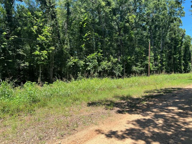 000 Holt Street, Coldspring, TX 77331