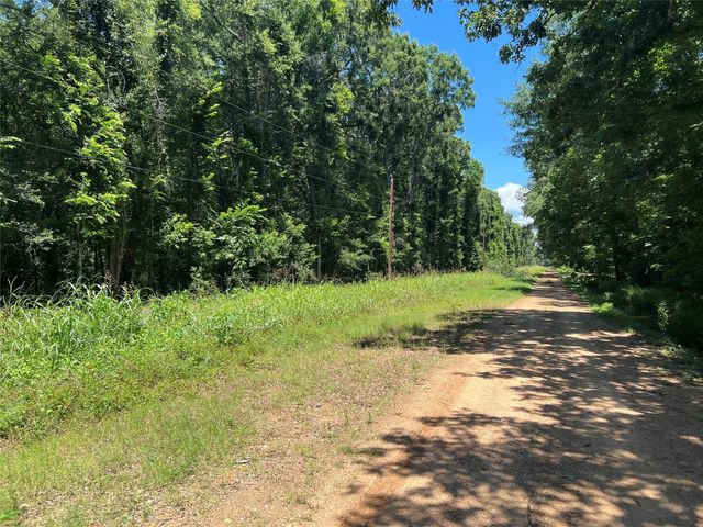 000 Holt Street, Coldspring, TX 77331