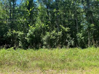 000 Holt Street, Coldspring, TX 77331