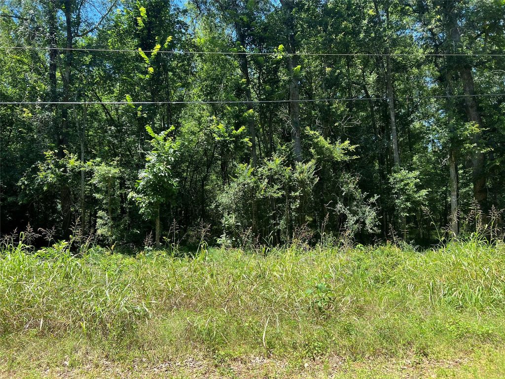 000 Holt Street, Coldspring, TX 77331