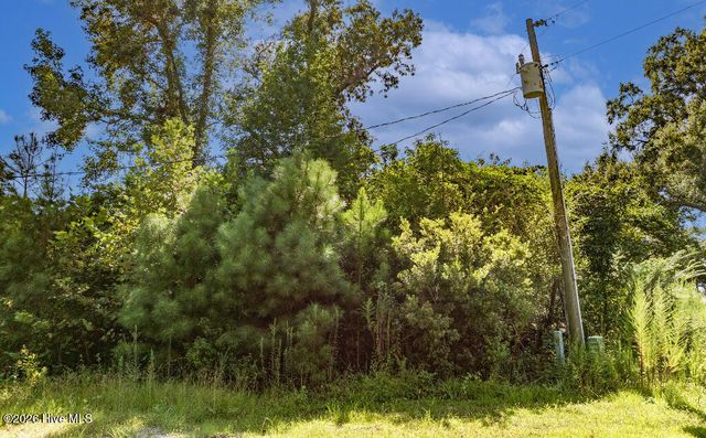 133 Shade Tree Lane SW, Supply, NC 28462