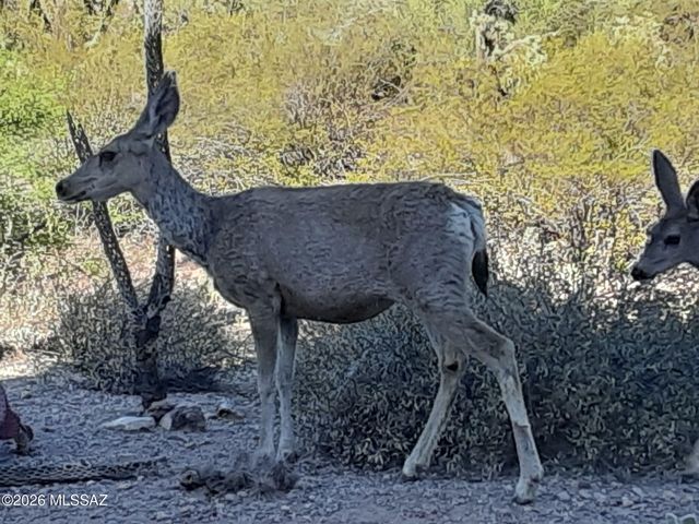 3237 S Treasure Cove Place, Tucson, AZ 85713