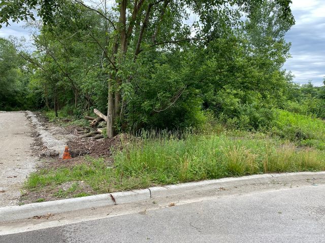 LOTS 14 & 15 TEAL Avenue, Elgin, IL 60123