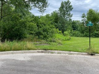 LOTS 14 & 15 TEAL Avenue, Elgin, IL 60123