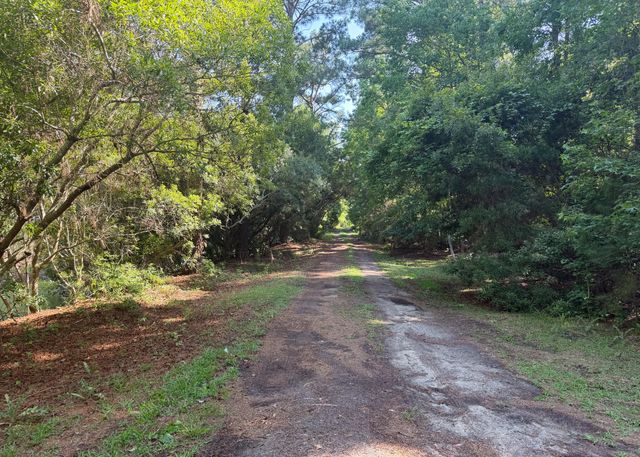 2995 Causey Road, Mount Pleasant, SC 29466