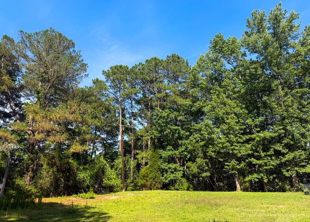 2995 Causey Road, Mount Pleasant, SC 29466