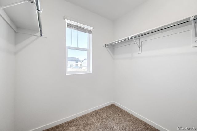 7923 Mounted Ranger Drive, Colorado Springs, CO 80908