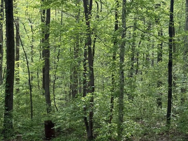 608 Evening Shade Dr, S, White Bluff, TN 37187