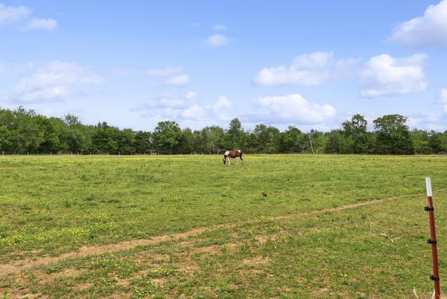 8000 Highway 269 Bell Buckle Rd, Christiana, TN 37037