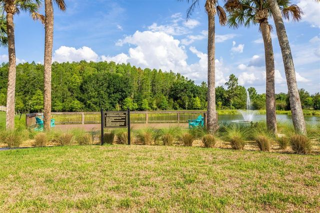 30090 SOUTHWELL LANE, Wesley Chapel, FL 33543